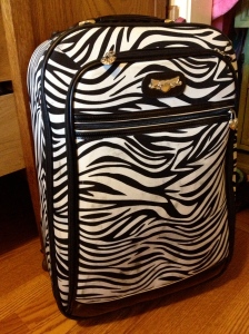 My trusty and stylish carry-on