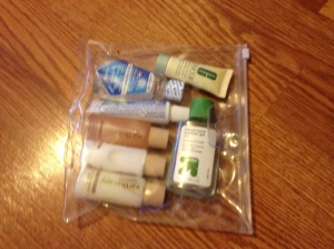my 3-1-1 bag, which I keep in the front part of my carry-on for easy removal in security lines